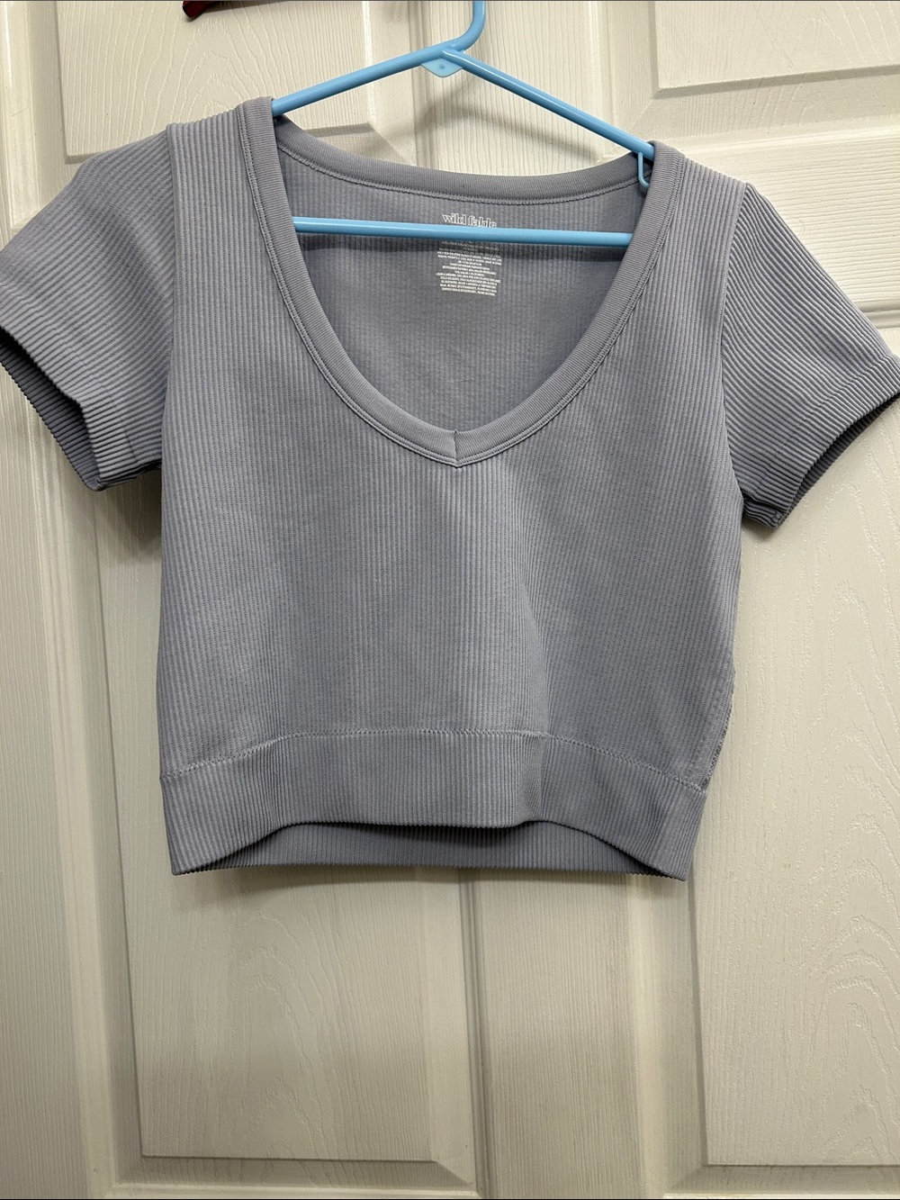 wild fable Light Gray Ribbed V-Neck Crop Top